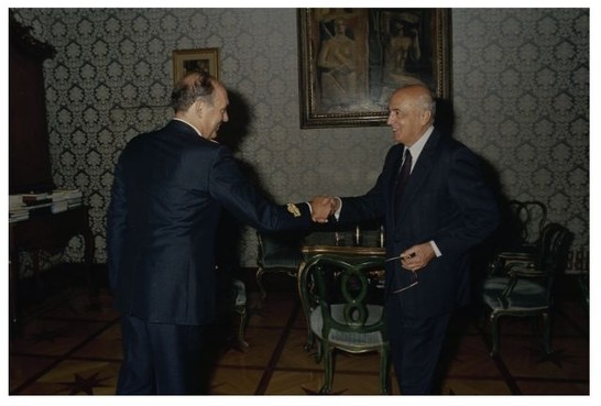 Presidente Napolitano riceve il Generale De Carolis
